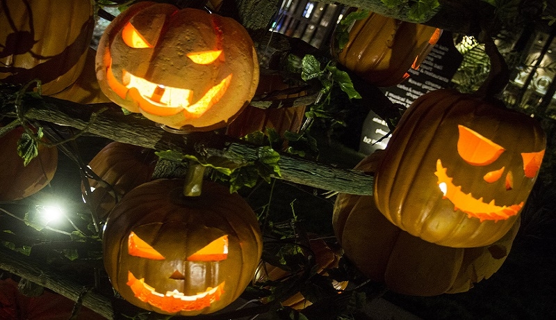 Halloween – przejaw bałwochwalstwa  i utraty wiary