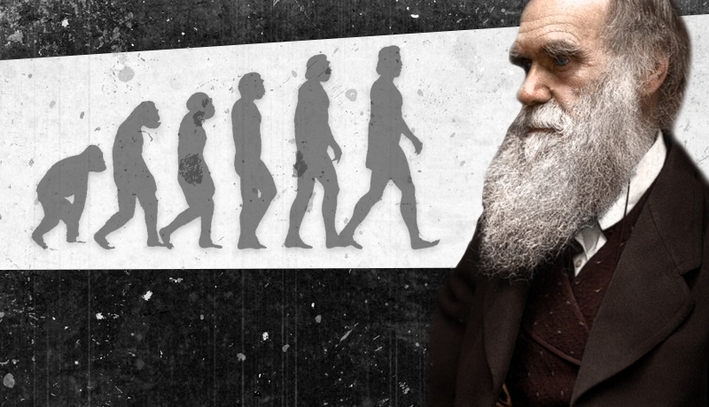 Świecki dogmat przełamany. Naukowcy krytykują „teorię Darwina”